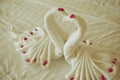 Towel plait as swans with petal rose in vintage style Royalty Free Stock Photo