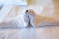 Towel sea lion origami Royalty Free Stock Photo