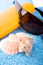 Towel, shells, sunglasses and lotion Royalty Free Stock Photo