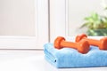 Towel with vinyl dumbbells on windowsill