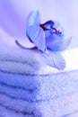 Towels in blue Royalty Free Stock Photo
