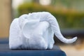 Towels in form of elephants on sunbed at luxury swimming pool Royalty Free Stock Photo