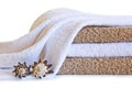 Towels with shells isolated on a white background