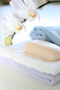 Towels and soap Royalty Free Stock Photo