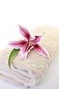 Towels spa Royalty Free Stock Photo