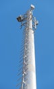 Tower with aerials of cellular