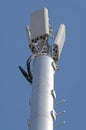 Tower with aerials of cellular