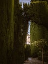 Tower of Alhambra, Granada, from the gardens of Generalife Royalty Free Stock Photo