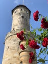 Tower from the Altenburg Castle Royalty Free Stock Photo