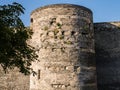 Tower at Angers chateau with foliage growing from the stones, Fr
