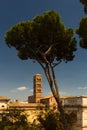 Tower of the Antiquarium Museum, Rome
