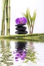 Bamboo with purple orchid and tower of black stones Royalty Free Stock Photo