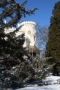 Tower of palace Hluboka behind trees during winter