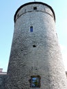 Tower on the blue sky background in sunny summer Tallinn