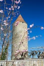 Tower Boyer in Romont, built in the 13th century, was a defensive system, Freibourg, Switzerland Royalty Free Stock Photo