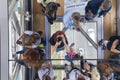 Tower Bridge on the River Thames. Glass transparent floor, ceiling mirror, tourists, London, United Kingdom