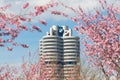 Tower building BMW head office framed pink spring flowering branches