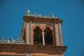 Tower on building facade with ceramics and bricks details at Merida