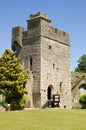 Tower, Caldicot Castle Royalty Free Stock Photo
