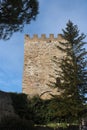 Tower of Castello di Lombardia medieval castle in