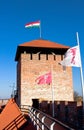 Tower of the castle Gyula