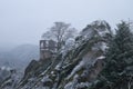 Tower and castle ruins on a hill on a foggy day Royalty Free Stock Photo