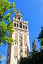 Tower of the Cathedral of Saint Mary of the See, Seville, Spain Royalty Free Stock Photo