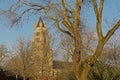 Tower of the church of our Lady between bare trees and shrubs