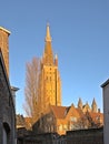 Tower of the church of our Lady in the winter evening sun in Bruges Royalty Free Stock Photo