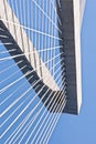 Tower Cooper River cable-stay bridge