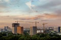 Tower crain construction building in sunset sky