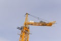 Tower crane assembly. Installation of a construction crane before starting construction. Construction crane assembly stage