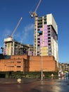 Tower Crane and Building Constructors on Construction Site