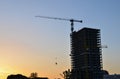 Tower crane constructing a new residential building at a construction site at sunset background. Royalty Free Stock Photo
