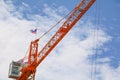 Tower crane industry, Construction buildings in site on sky background Royalty Free Stock Photo