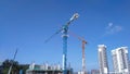 Tower Crane used to lift the heavy load at the construction site.