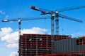 Tower cranes Royalty Free Stock Photo