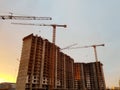 Tower cranes but against backdrop of construction