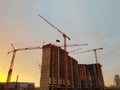 Tower cranes but against backdrop of construction