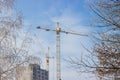 Tower cranes on background of construction, sky, trees covered f