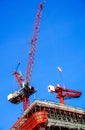 Construction crane Royalty Free Stock Photo