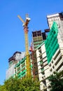 Construction crane Royalty Free Stock Photo