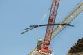 tower cranes in operation. Natural colors and real photos. Royalty Free Stock Photo
