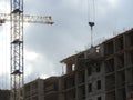 Tower cranes and their parts, construction of a new house