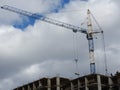 Tower cranes and their parts, construction of a new house