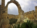 Tower of David citadel arch with narcissus