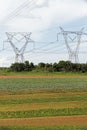 Tower of energy transmission in horticulture farm area Royalty Free Stock Photo