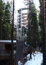 Tower and entrance to The trail trees Lipno Lookout