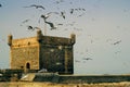 Tower of the fortress city of Essaouira, flying gulls Royalty Free Stock Photo