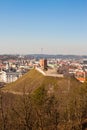 Tower of Gediminas on the hill in Vilnius